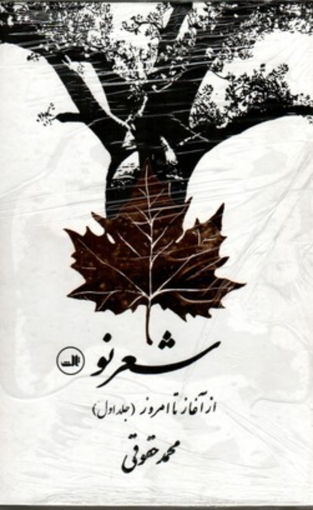 تصویر  شعر نو از آغاز تا امروز - دو جلدی (رقعی-گالینگور)